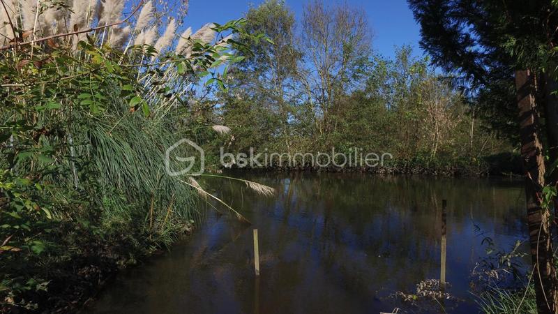 Terrain de loisirs - 8 163 m²