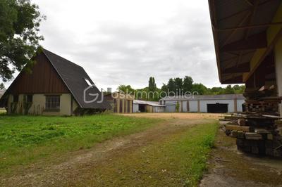 Local d'activité / Entrepôt - 2 600 m² - 10 pièces