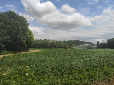 Terrain - 24 992 m²