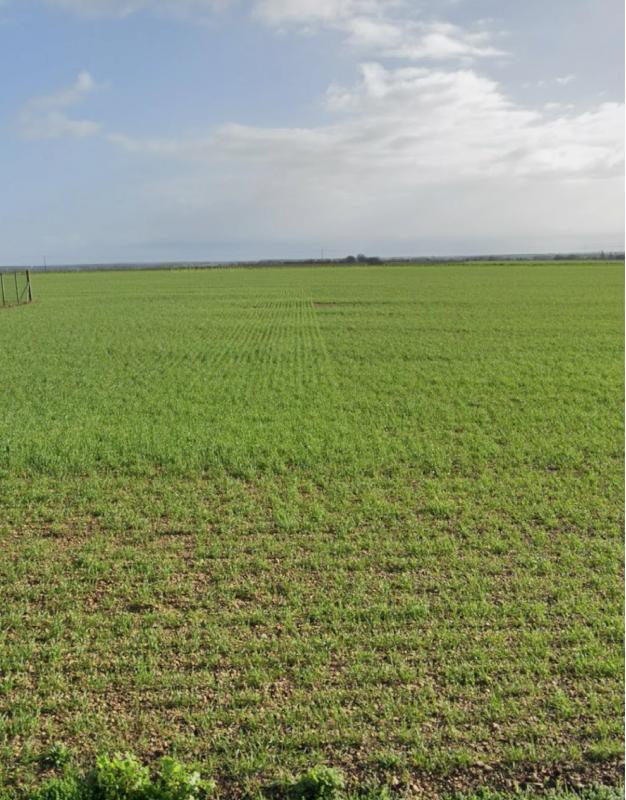 Terrain constructible - 572 m²