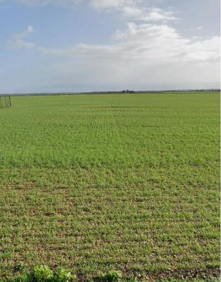 Terrain constructible - 572 m²