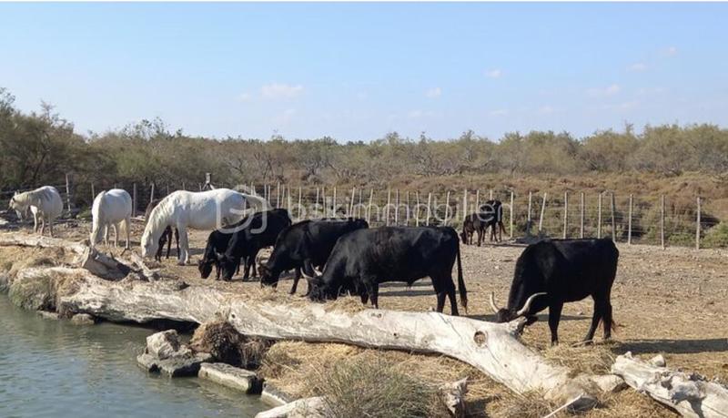 Maison de village - 63 m² - 3 pièces