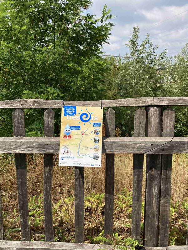 Trésors du Rhin - Escape game