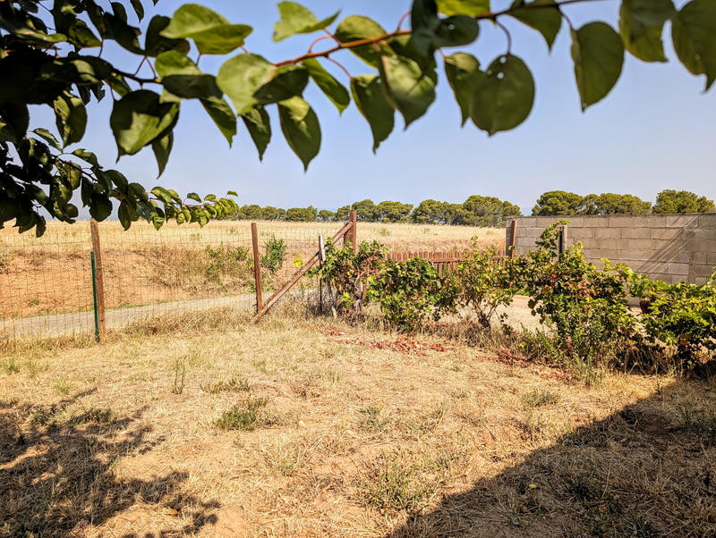 Maison - 99 m² - 5 pièces