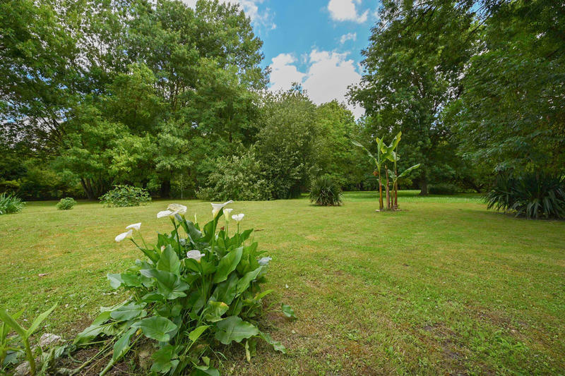 Maison en pierre - 185 m² - 6 pièces