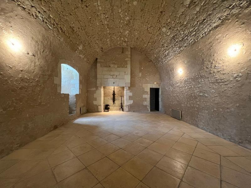 Manoir - 800 m² - 20 pièces