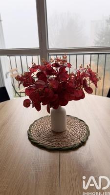 Appartement - 31 m² - 1 pièce