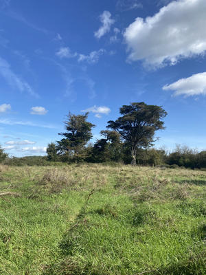 Terrain agricole - 15 847 m²