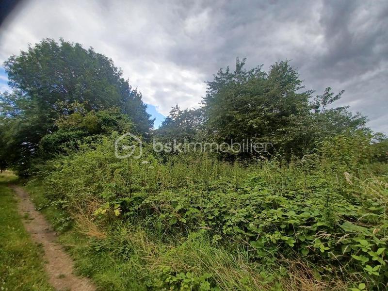 Terrain de loisirs - 7 000 m²