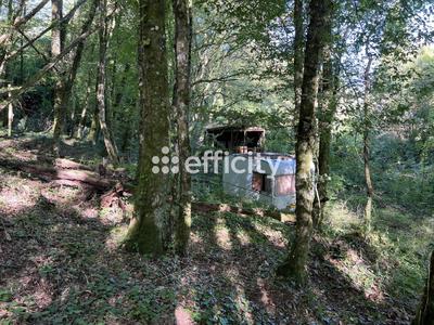 Terrain - 14 696 m²