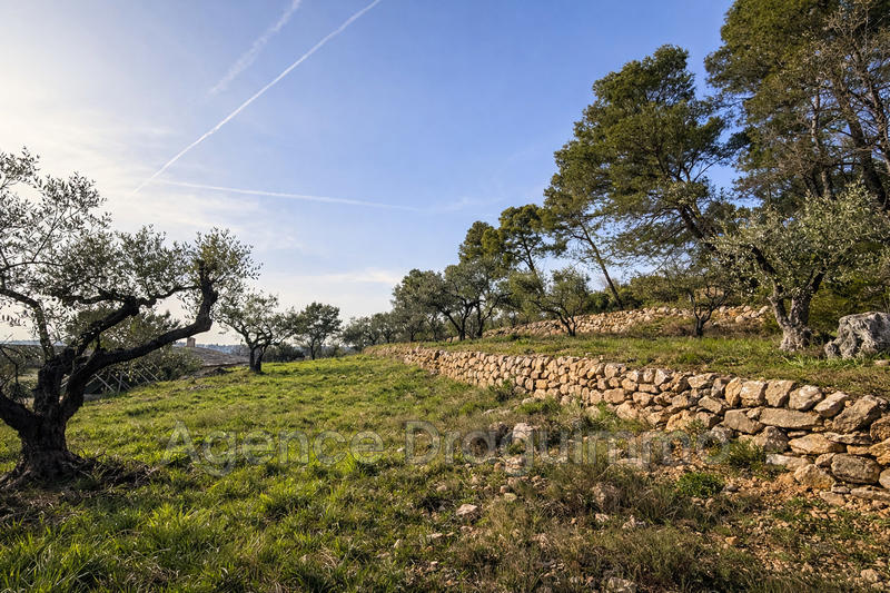 Maison - 260 m² - 7 pièces