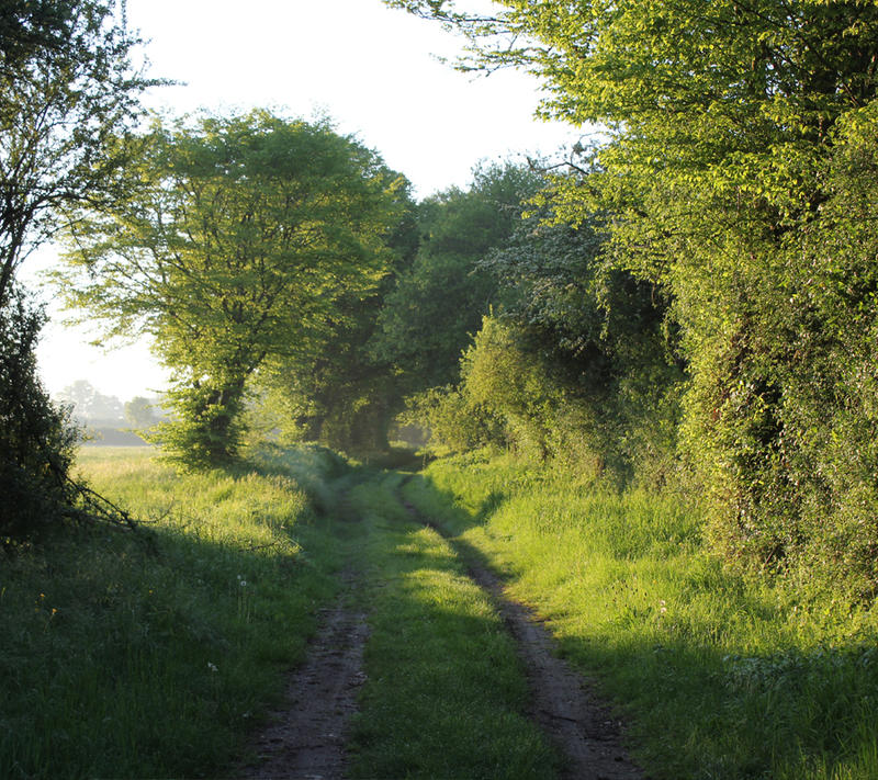 Visite "Le bocage aux aurores"