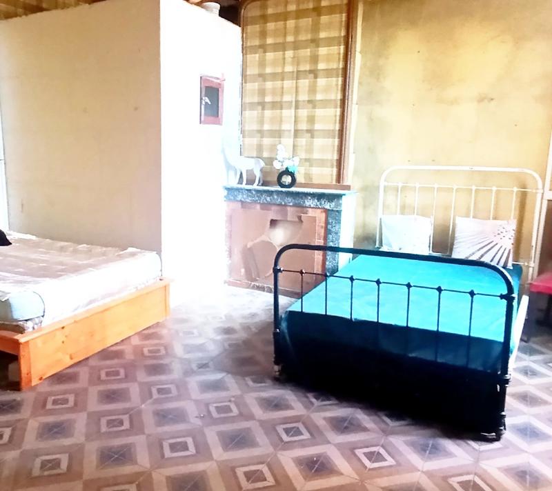 Local commercial - 331 m² - 9 pièces