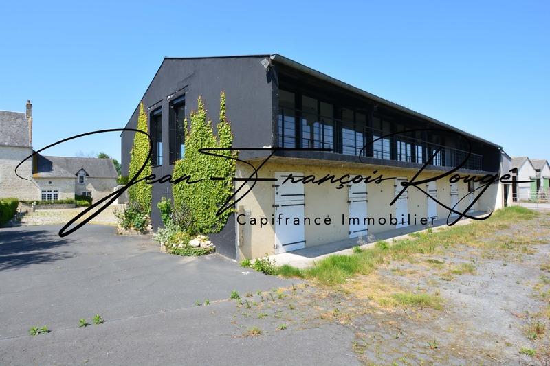 Maison - 515 m² - 19 pièces