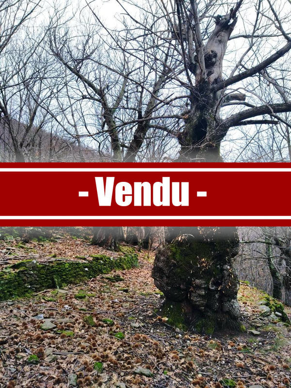 Terrain agricole - 12 330 m²