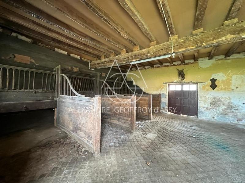 Château - 1 500 m² - 22 pièces