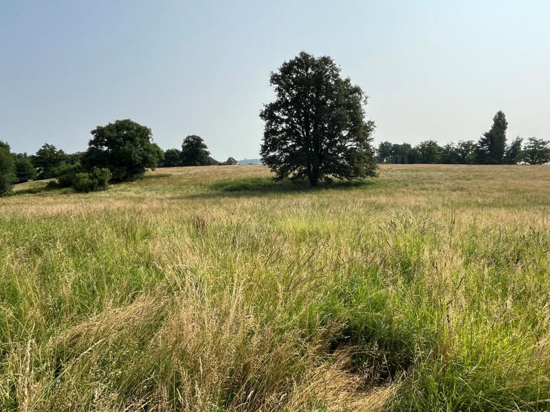 Villa - 253 m² - 8 pièces