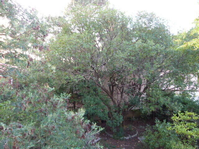 Maison - 40 m² - 3 pièces