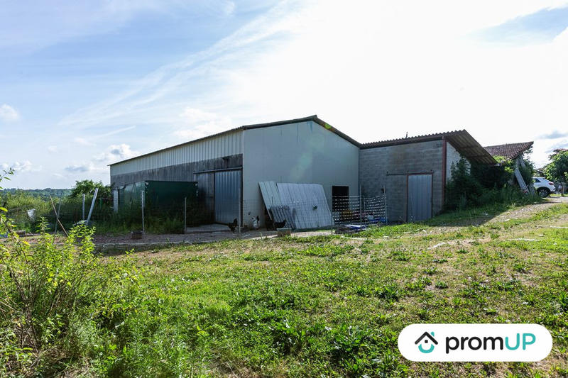 Terrain agricole - 5 000 m²