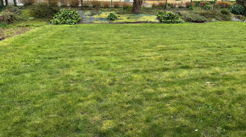 Maison - 59 m² - 2 pièces