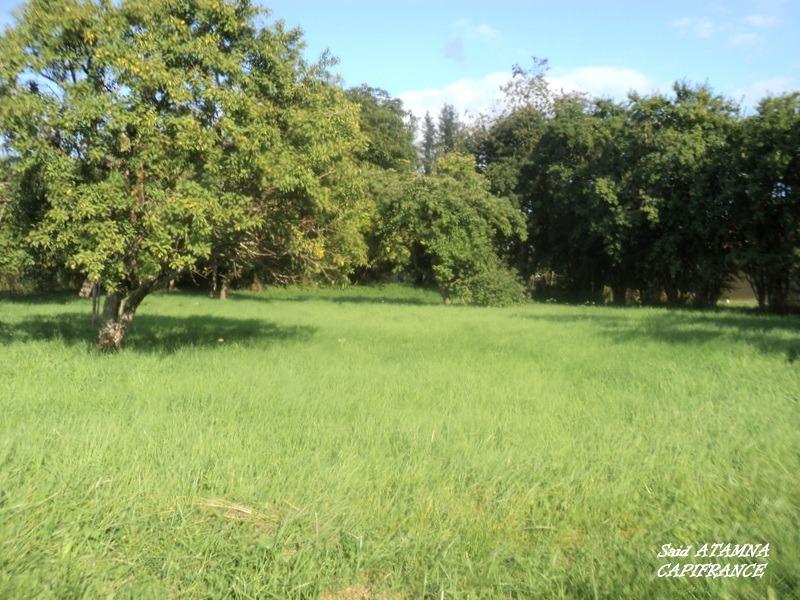 Terrain constructible - 850 m²