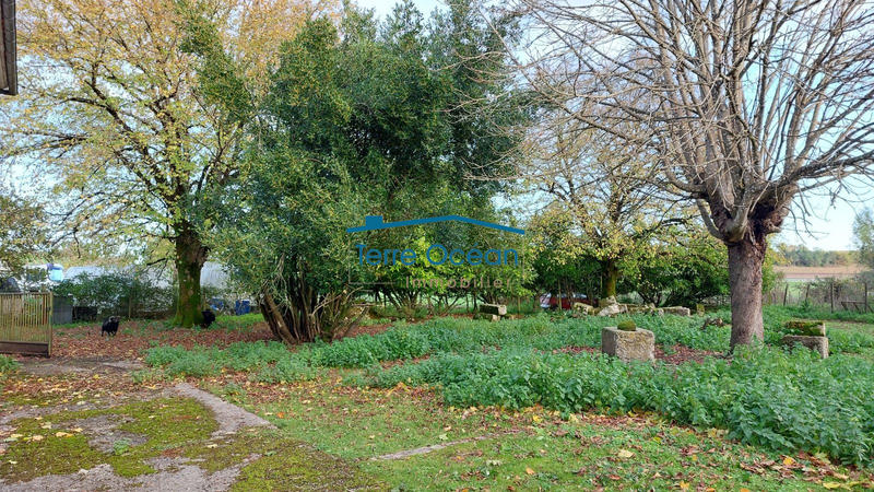 Maison ancienne - 191 m² - 7 pièces