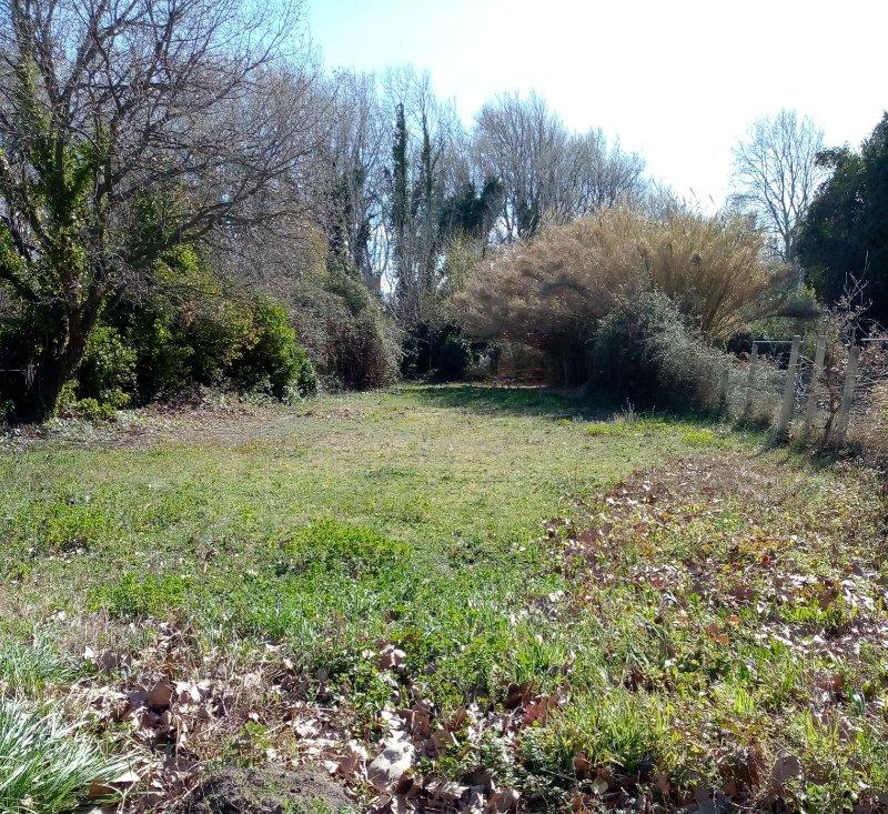 Terrain de loisirs - 8 000 m²