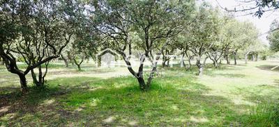 Maison - 270 m² - 9 pièces