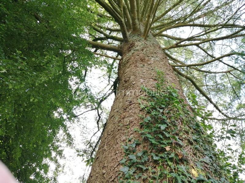 Corps de ferme - 170 m² - 7 pièces