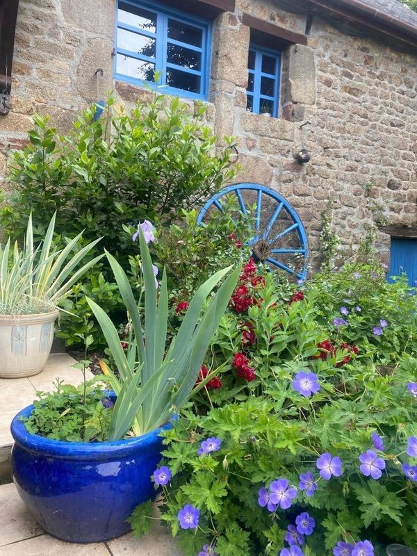 Maison en pierre - 170 m² - 6 pièces