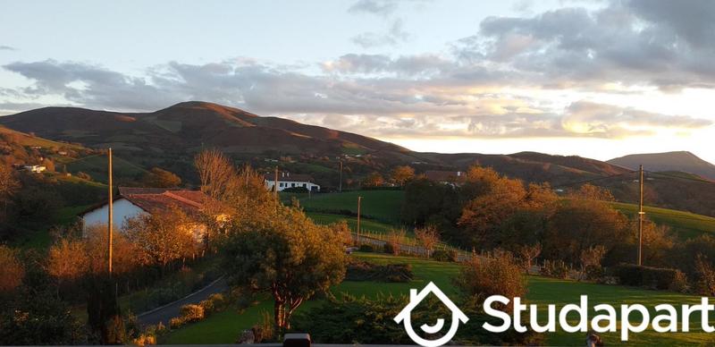 Chambre - 16 m² - 1 pièce