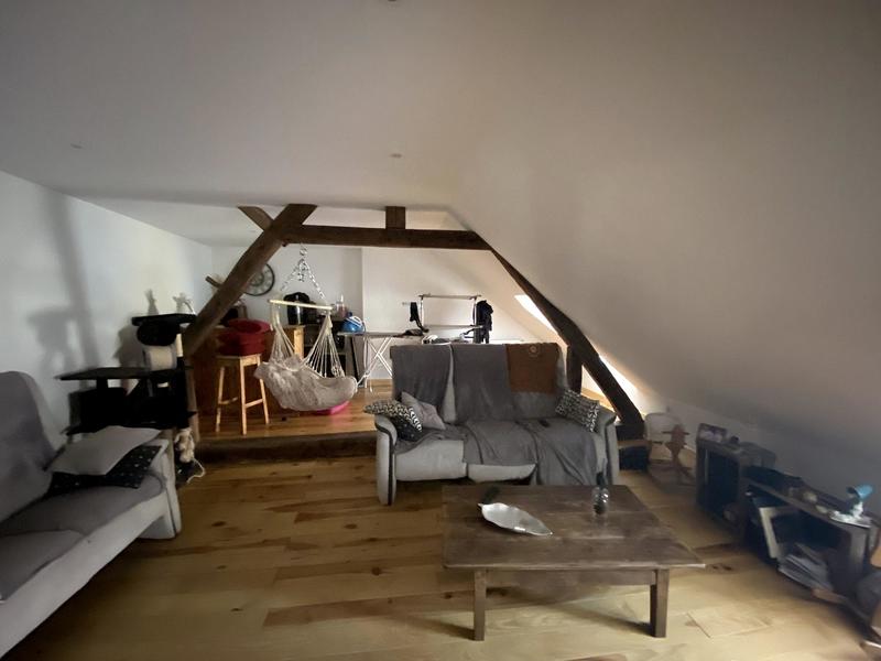 Maison ancienne - 310 m² - 10 pièces