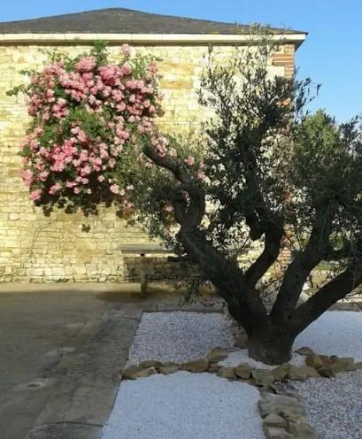 Manoir - 850 m² - 16 pièces