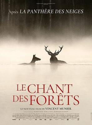 Projection film «Le chant des forêts»