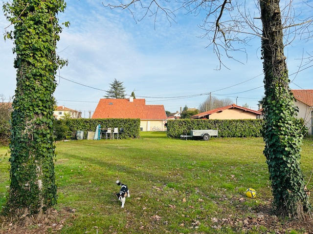 Terrain - 954 m²