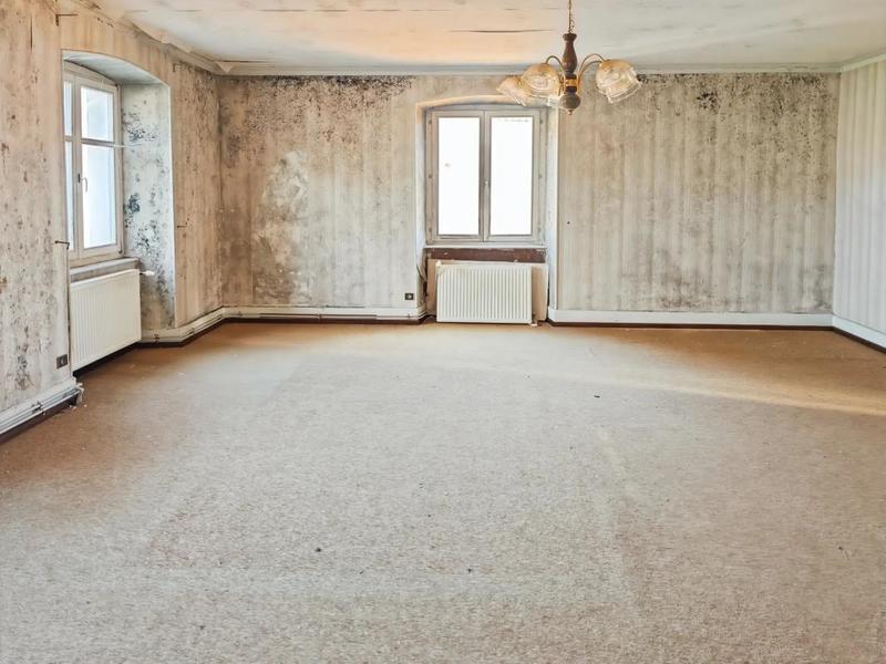 Maison - 300 m² - 10 pièces