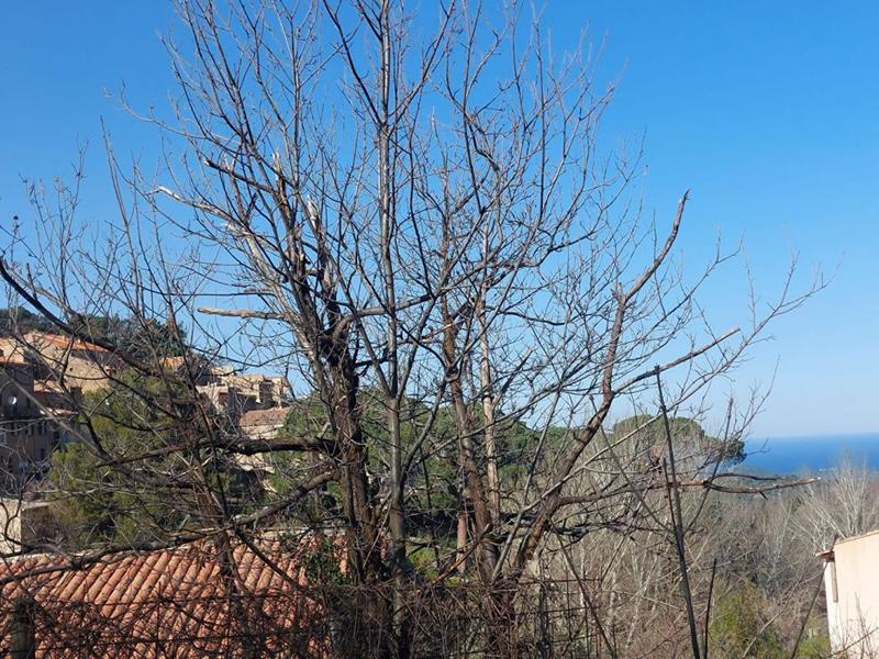 Terrain constructible - 2 000 m²