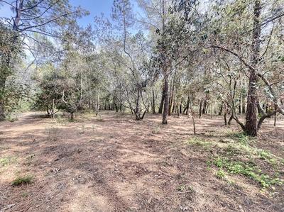 Terrain inconstructible - 19 321 m²