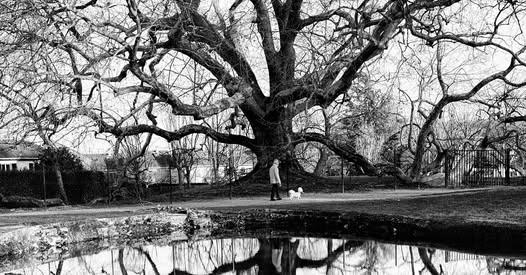 Exposition du photographe Daniel Olivier à Coeur de Bastide