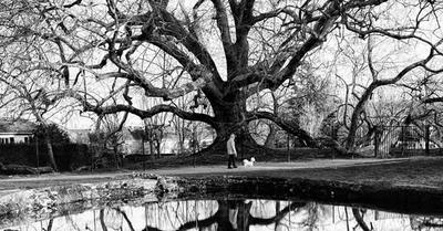 Exposition du photographe Daniel Olivier à Coeur de Bastide