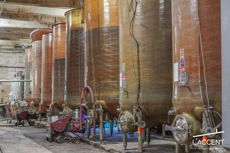 Château - 3 038 m² - 55 pièces