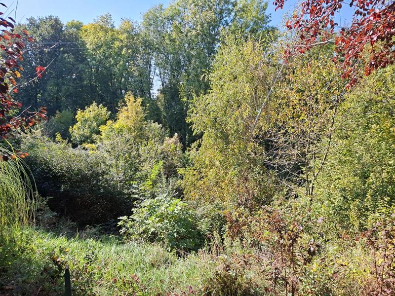 Maison - 127 m² - 5 pièces