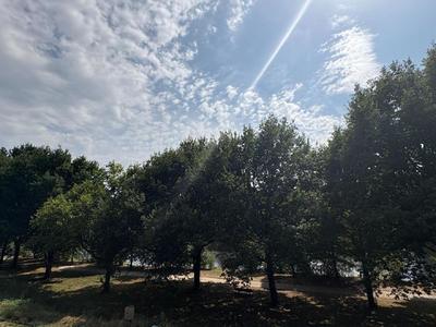 Maison - 188 m² - 5 pièces