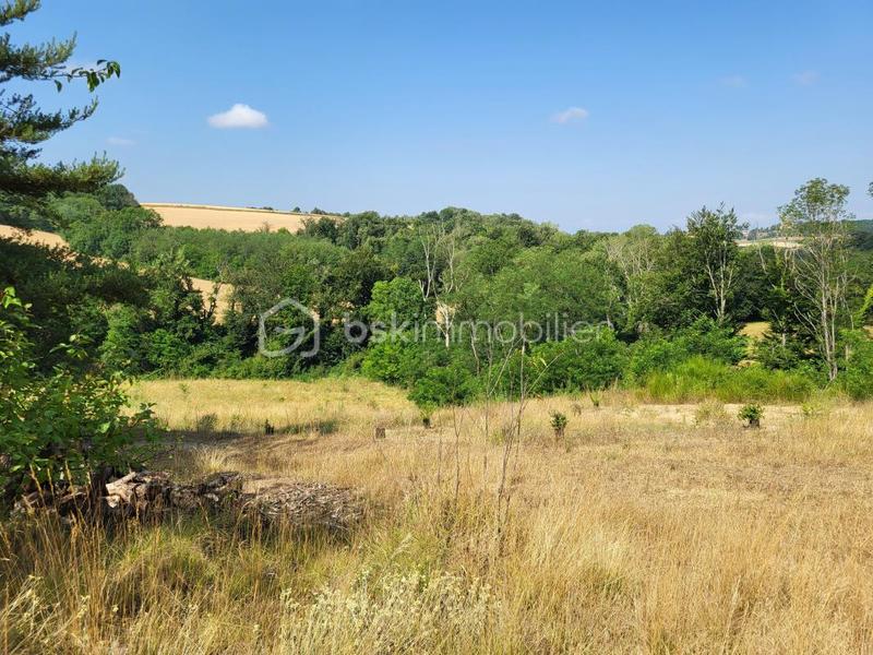 Corps de ferme - 269 m² - 12 pièces