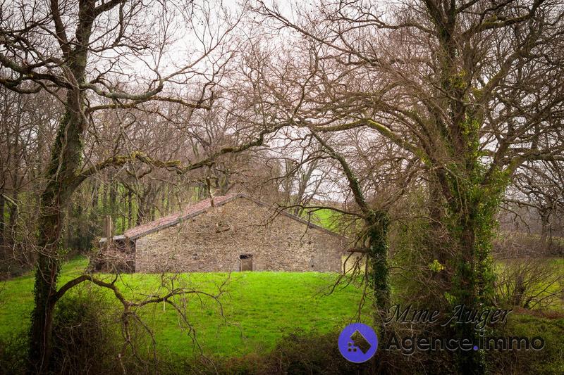 Maison ancienne - 150 m² - 6 pièces