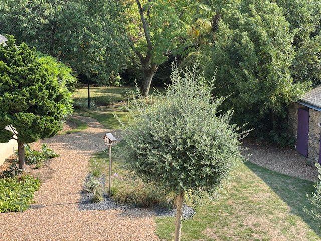 Maison ancienne - 215 m² - 7 pièces