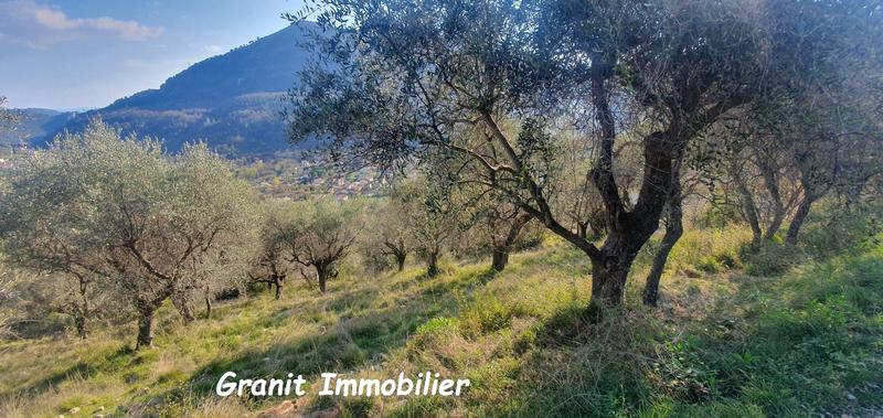Terrain constructible - 1 503 m²