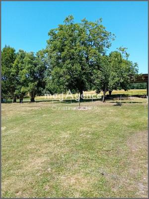 Maison ancienne - 150 m² - 7 pièces