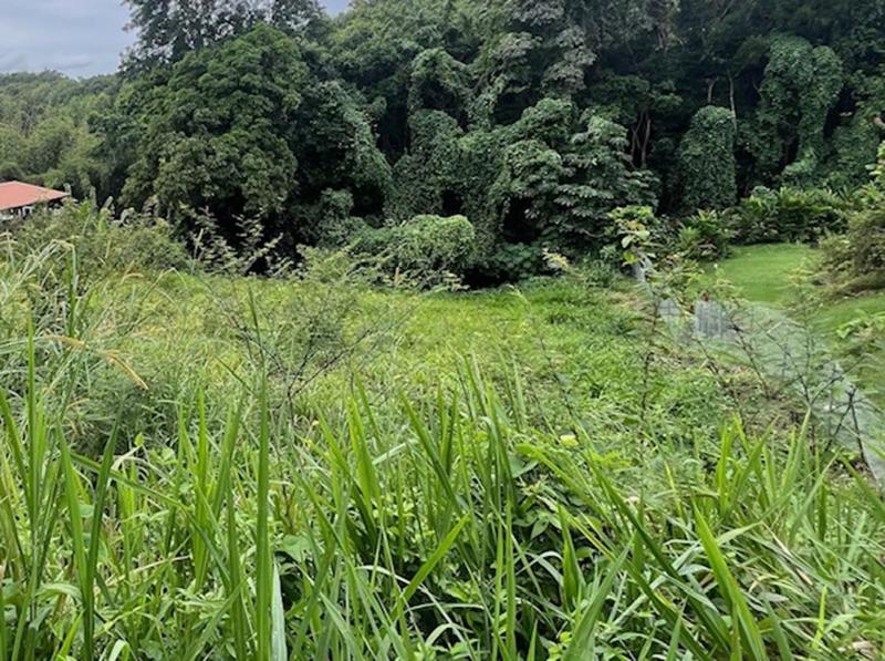 Terrain constructible - 2 152 m²