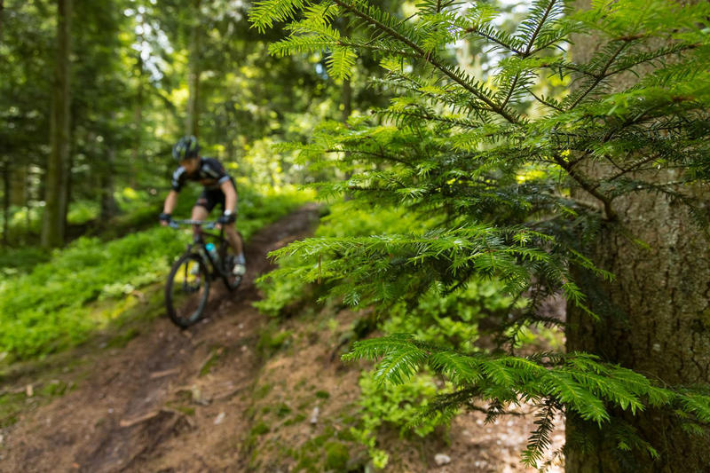 La Téméraire des Vosges